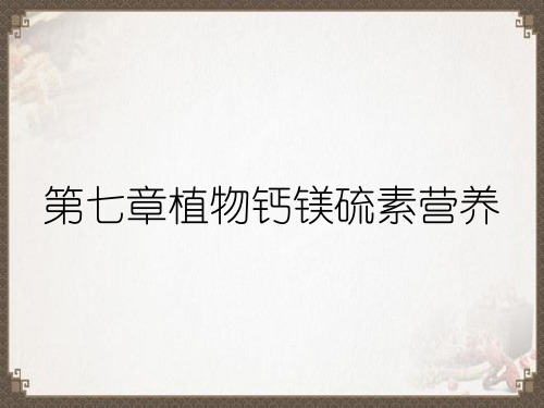 第七章植物钙镁硫素营养