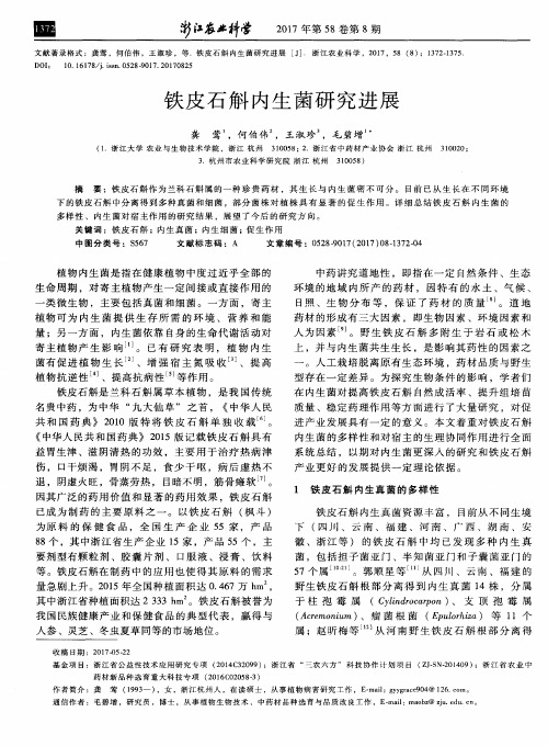 铁皮石斛内生菌研究进展