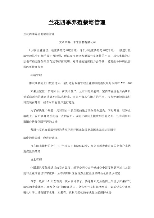 兰花四季养殖栽培管理