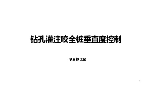 钻孔灌注咬全桩垂直度控制