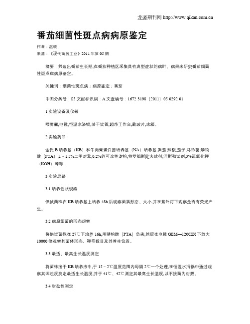 番茄细菌性斑点病病原鉴定