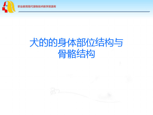 犬的的身体部位结构与骨骼结构.