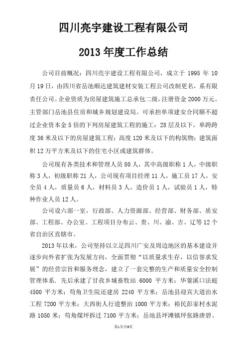 2013年度公司总结