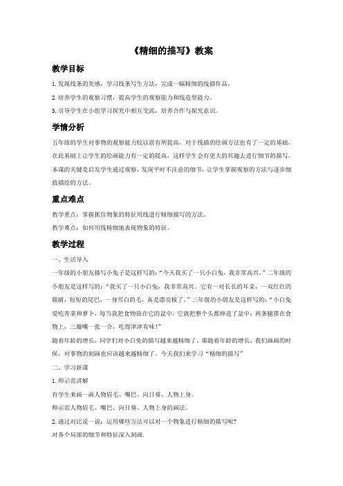 人美版美术五年级下册《精细的描写》教案1