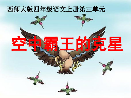 《“空中霸王”的克星》  图文
