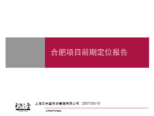 合肥项目报告5.15