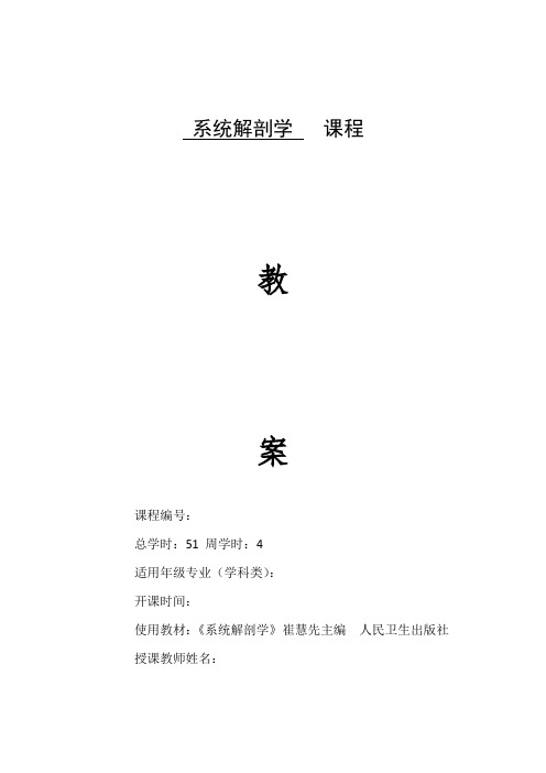 系统解剖学教案--动脉