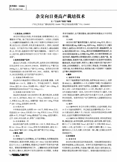 杂交向日葵高产栽培技术