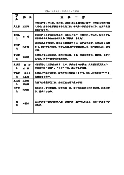 大队委分工