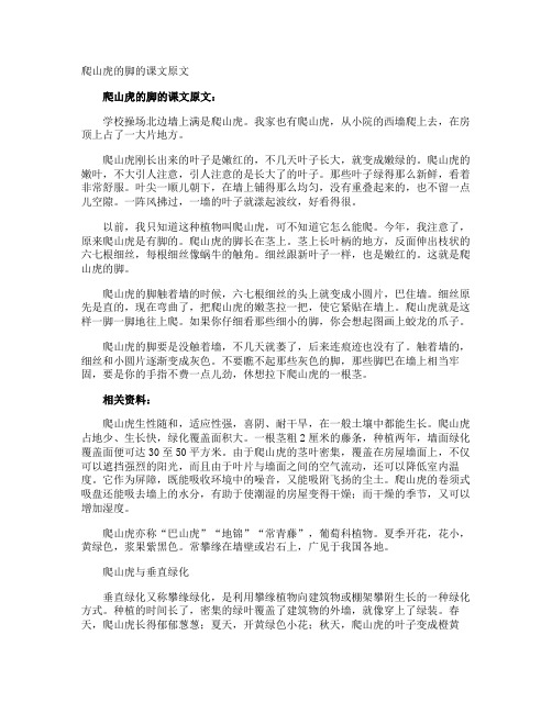 爬山虎的脚的课文原文