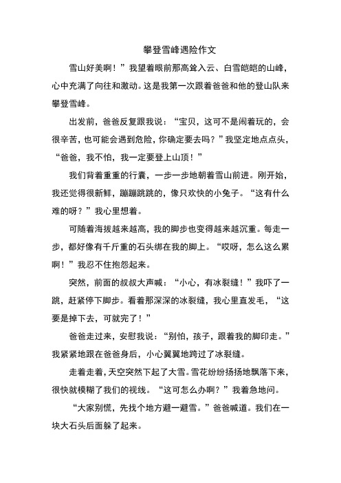 攀登雪峰遇险作文
