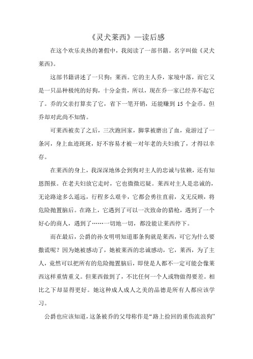 灵犬莱西