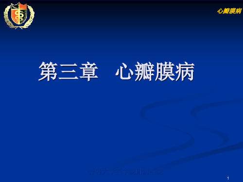 2-1-1瓣膜病Microsoft PowerPoint 演示文稿