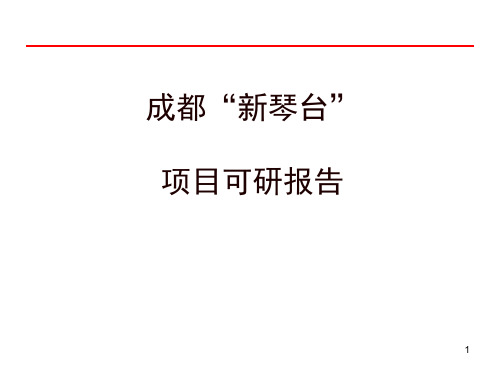 成都“新琴台”项目介绍