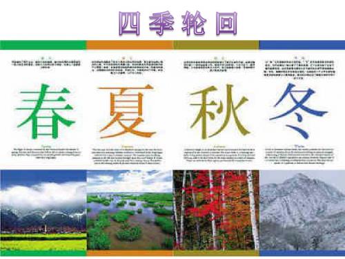 第二章整式的加减数学活动——探究规律