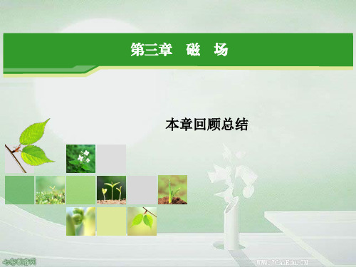 物理选修3-1人教新课标第3章磁场回顾总结课件.