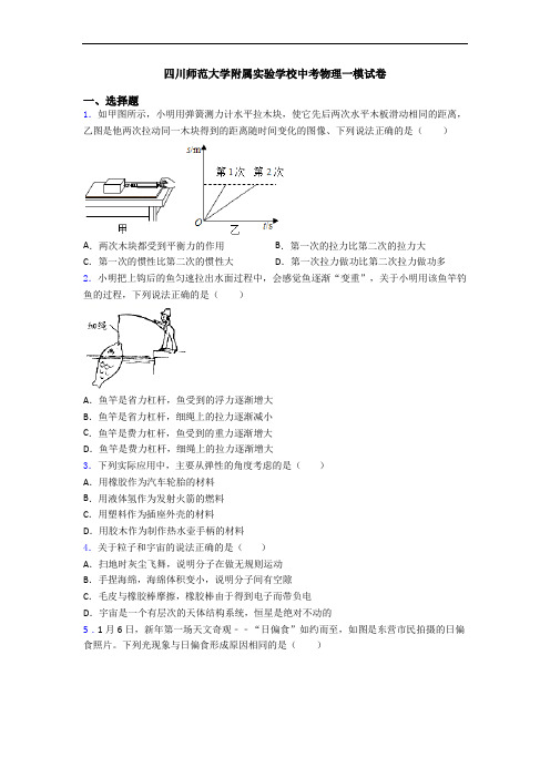 四川师范大学附属实验学校中考物理一模试卷
