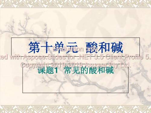 人教版九年级下册化学常见的酸和碱-第一课时指示剂-PPT精选文档