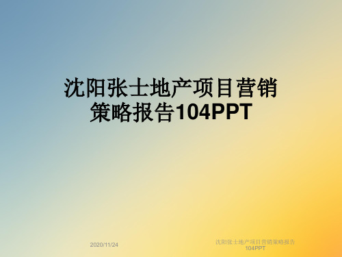 沈阳张士地产项目营销策略报告104PPT
