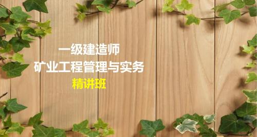 一建-矿业工程管理与实务-精-第二篇5矿业工程施工进度控制