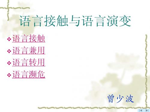 14语言接触与语言演