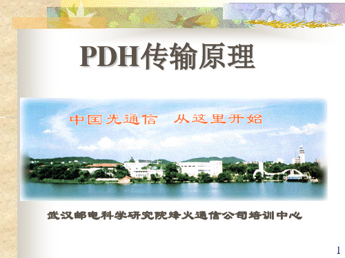 PDH原理