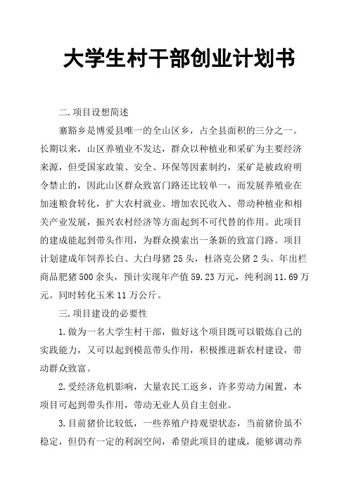 大学生村干部创业计划书