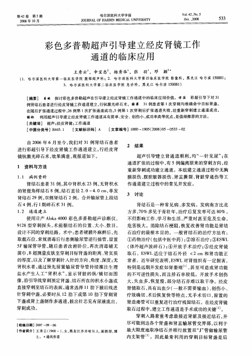 彩色多普勒超声引导建立经皮肾镜工作通道的临床应用