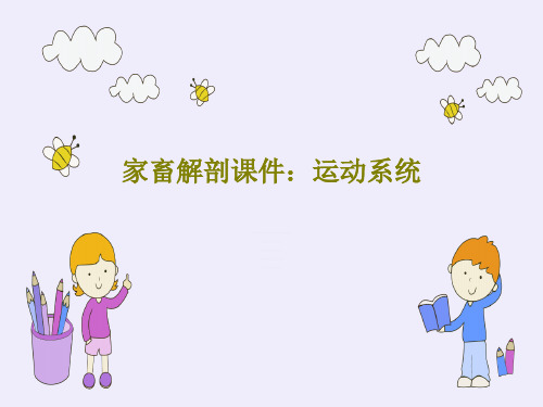 家畜解剖课件：运动系统共111页文档