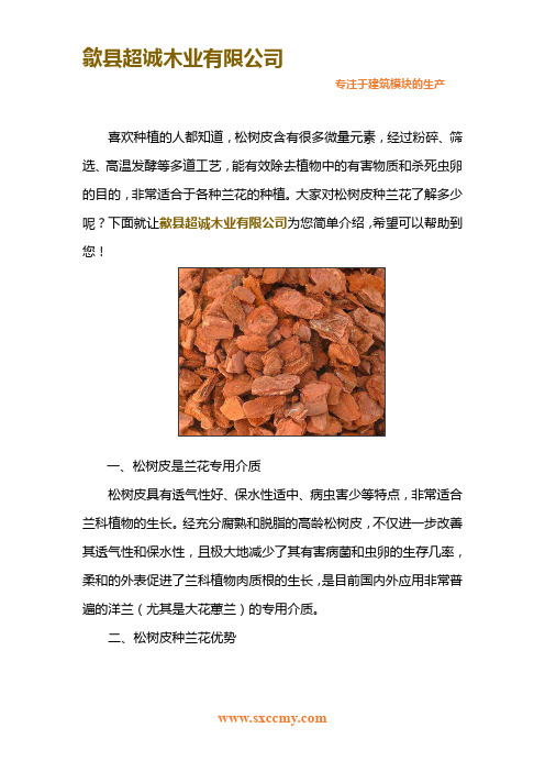 松树皮种兰花