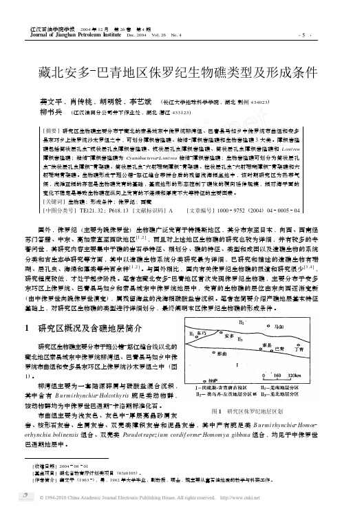藏北安多_巴青地区侏罗纪生物礁类型及形成条件