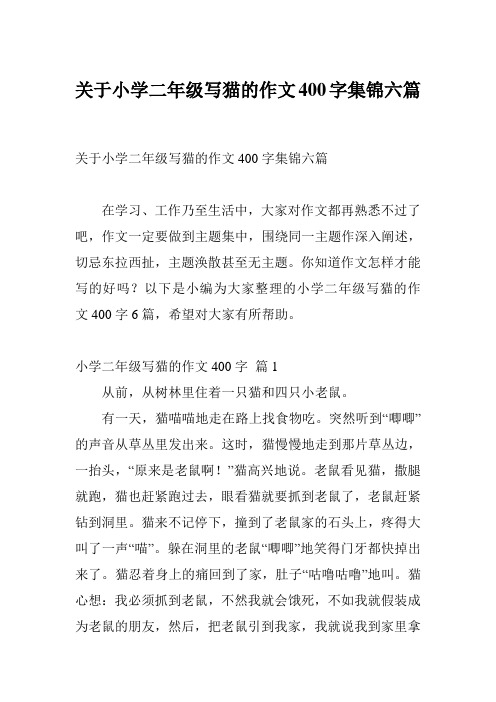 关于小学二年级写猫的作文400字集锦六篇
