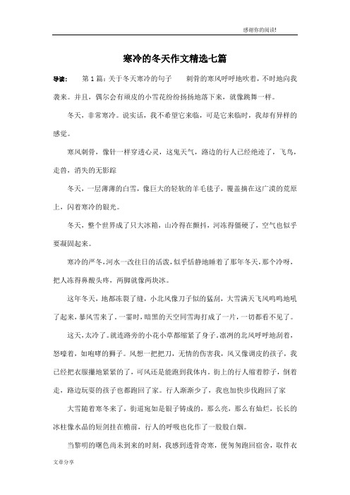 寒冷的冬天作文精选七篇