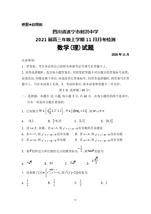 四川省遂宁市射洪中学2021届高三年级上学期11月月考数学(理)试题试题及答案