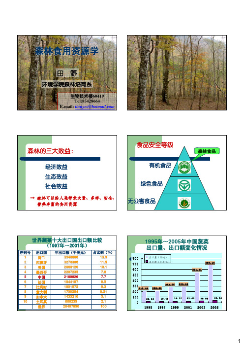 森林食用资源学课件