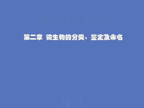 微生物的分类、鉴定及命名