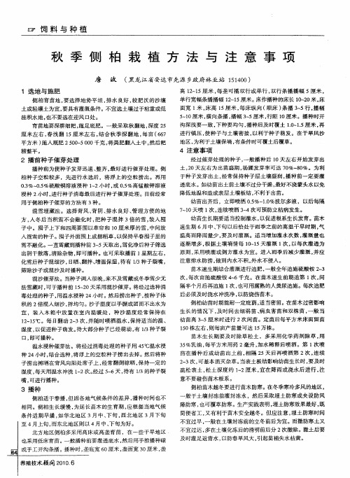 秋季侧柏栽植方法与注意事项
