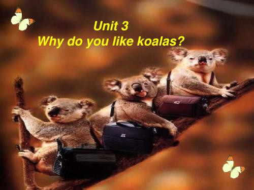 七年级英语下册Unit3Whydoyoulikekoalas课件人教新目