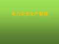 水电站安全生产管理 PPT