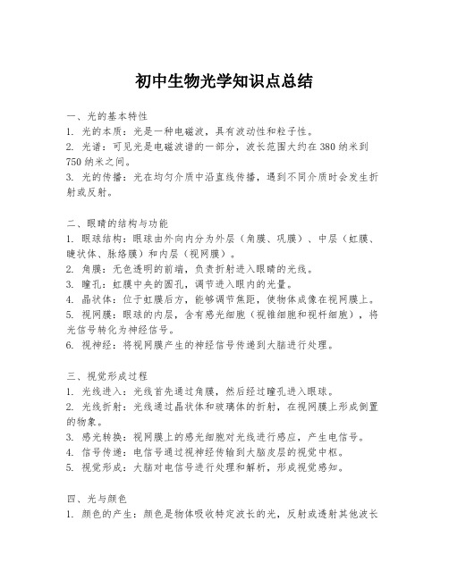 初中生物光学知识点总结