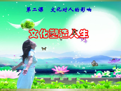 高中政治人教版必修二第一单元第二课第二框 文化塑造人生PPT(共44张)