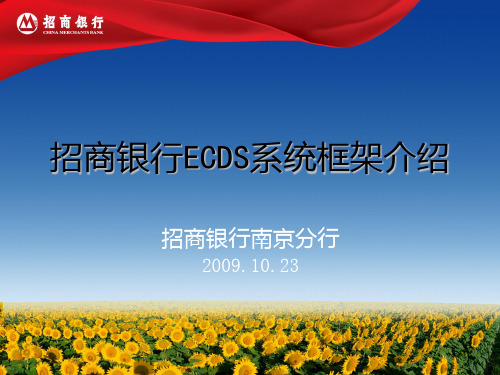 ECDS电子商业承兑汇票系统框架介绍简洁版PPT课件