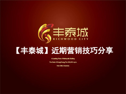 世联广东东莞丰泰城近期营销技巧