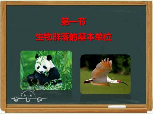 苏教版高中生物必修三《生物群落的基本单位——种群》课件(2)-新版