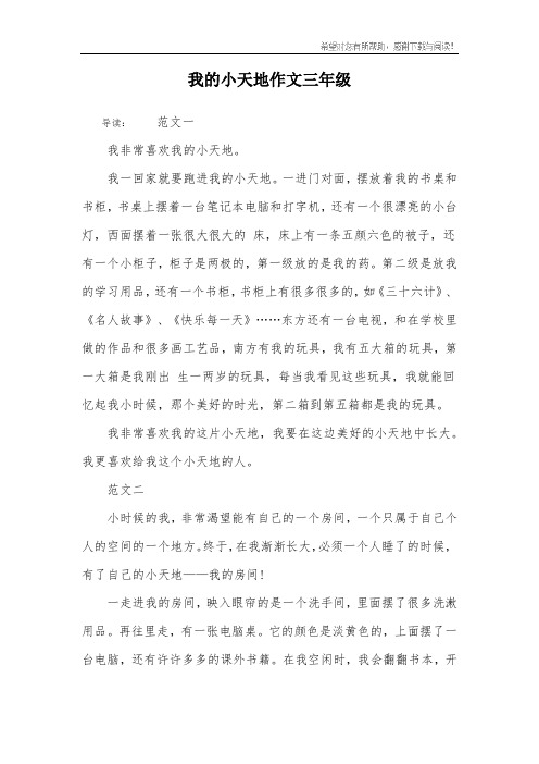我的小天地作文三年级