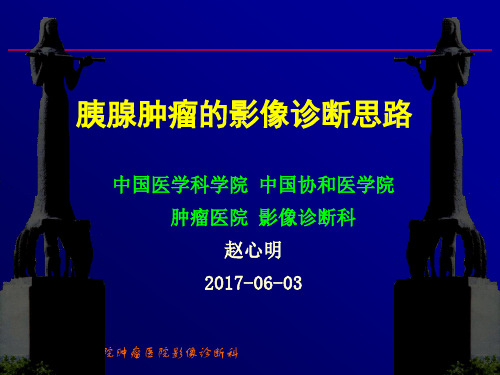 赵心明胰腺肿瘤的影像诊断思路(赵心明)
