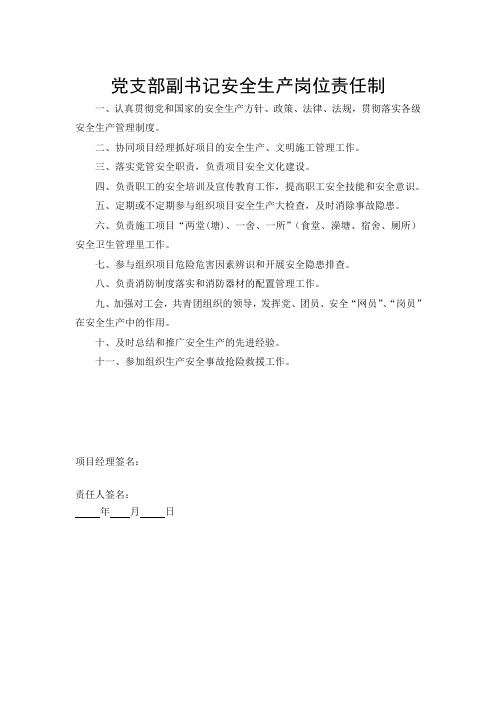 党支部副书记安全生产岗位责任制样本模板