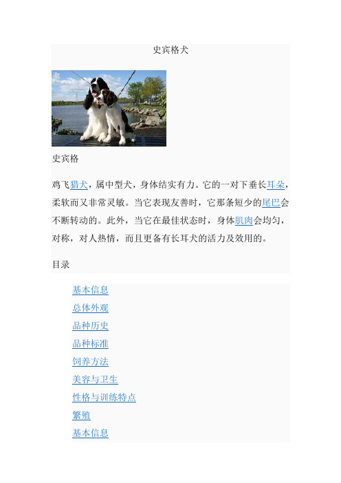 史宾格犬