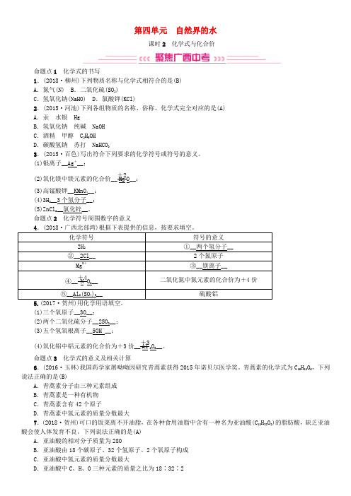 (广西专版)2019年中考化学总复习教材考点梳理第四单元自然界的水课时2化学式与化合价练习.doc