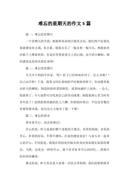 难忘的星期天的作文5篇